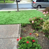 Synthetic Lawn Alum Rock, California Drainage, Small Front Yard Landscaping