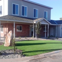 Synthetic Lawn Pinole, California Lawns, Front Yard Landscaping