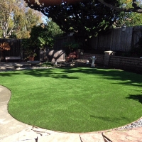 Synthetic Turf Dogtown, California Backyard Playground, Backyard Ideas