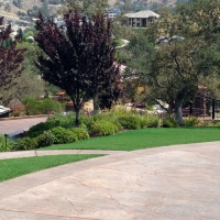 Synthetic Turf Fresno, California Landscape Ideas, Front Yard Landscaping Ideas