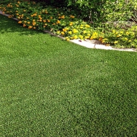 Synthetic Turf Strawberry, California Home And Garden, Front Yard Landscape Ideas