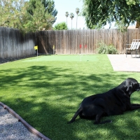 Synthetic Turf Supplier Oakdale, California Dog Run, Backyard Garden Ideas