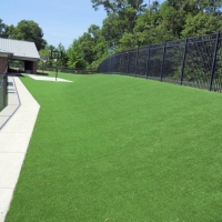 Turf Grass Lincoln Village, California Landscape Design, Commercial Landscape