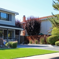 Turf Grass Livermore, California Design Ideas, Front Yard Design