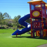 Turf Grass San Francisco, California Landscape Ideas, Parks