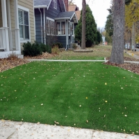 Turf Grass Seacliff, California Roof Top, Small Front Yard Landscaping