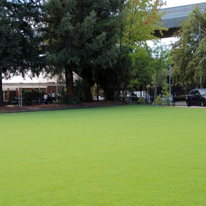 Artificial Grass Carpet Fairmead, California Landscape Design, Commercial Landscape