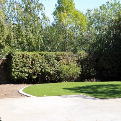 Artificial Grass Challenge-Brownsville, California Landscaping, Backyard Garden Ideas