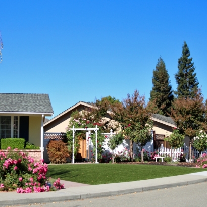 Artificial Grass Installation Easton, California Landscape Ideas, Front Yard Landscaping Ideas