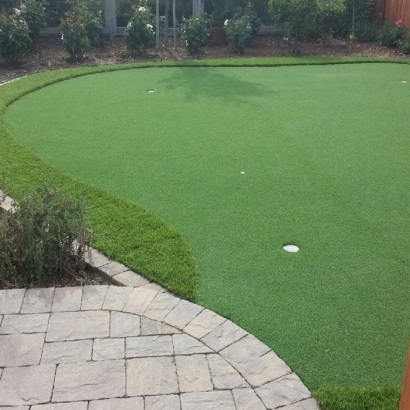 Artificial Lawn Colma, California Roof Top, Backyard Garden Ideas