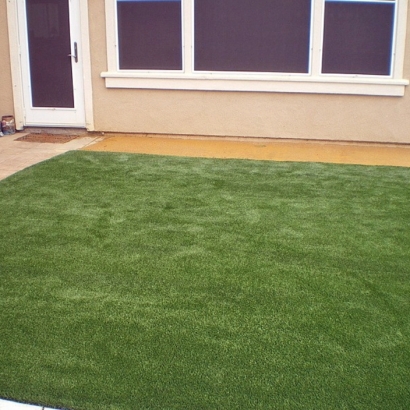 Artificial Lawn Yountville, California Design Ideas, Backyard Landscape Ideas