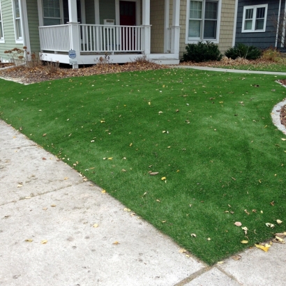 Artificial Turf Alameda, California City Landscape, Small Front Yard Landscaping