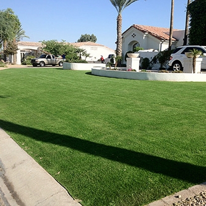 Artificial Turf Cost Allendale, California Lawns, Small Front Yard Landscaping