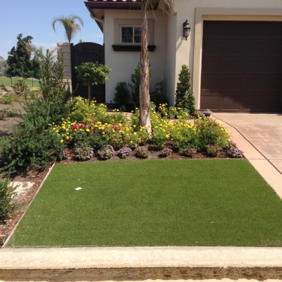 Artificial Turf Cost Orangevale, California Paver Patio, Front Yard Landscaping