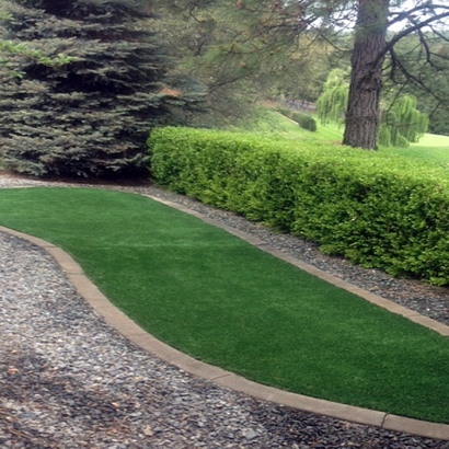 Artificial Turf Crockett, California Garden Ideas