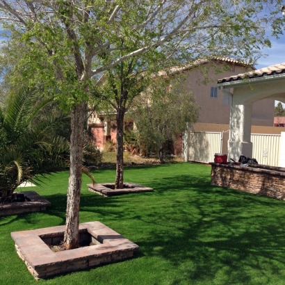 Artificial Turf Las Lomas, California Garden Ideas, Front Yard Landscaping