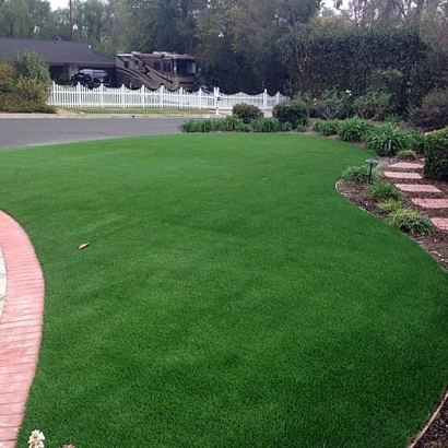 Artificial Turf West Modesto, California Lawn And Landscape, Front Yard Ideas