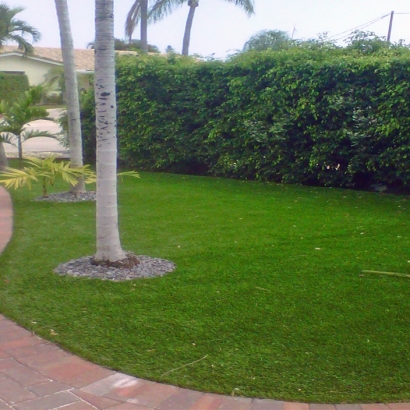 Fake Grass Carpet Collierville, California Roof Top, Front Yard Design