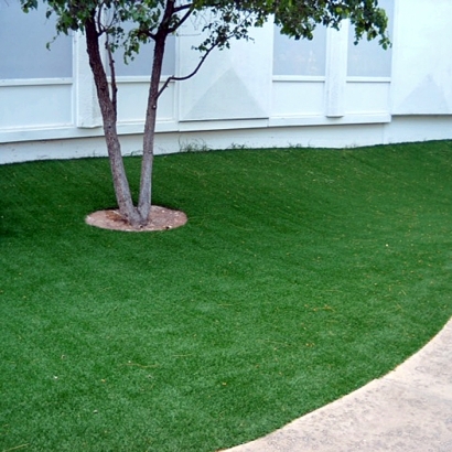 Fake Grass Carpet Tiburon, California Backyard Playground, Commercial Landscape