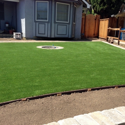 Fake Grass Carpet Woodbridge, California Lawn And Landscape, Front Yard Landscaping Ideas