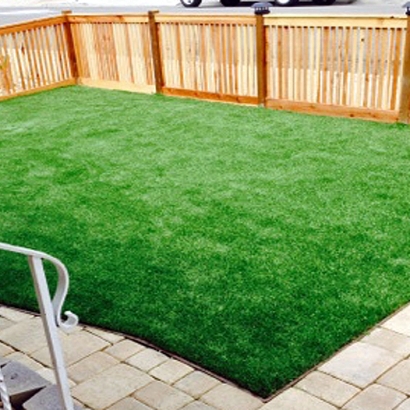 Fake Grass South Yuba City, California Lawn And Garden, Backyards