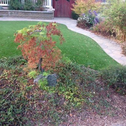 Fake Lawn Pacifica, California Landscaping, Small Front Yard Landscaping