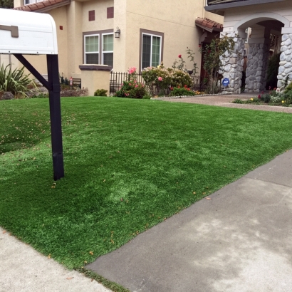 Fake Turf Burbank, California Lawns, Front Yard Design