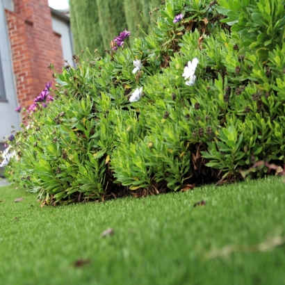 Fake Turf Discovery Bay, California City Landscape, Front Yard Landscape Ideas