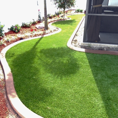 Fake Turf Escalon, California Lawn And Garden, Backyard Design