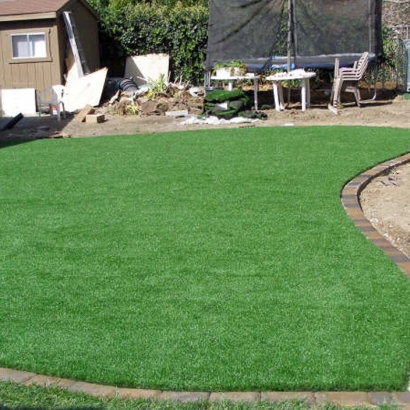 Fake Turf Lompico, California Landscaping, Backyard Designs