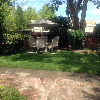 Faux Grass Diablo, California Garden Ideas, Backyard Landscaping