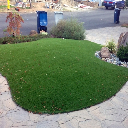 Faux Grass East Palo Alto, California Home And Garden