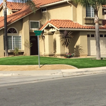 Grass Carpet Santa Cruz, California Home And Garden, Front Yard Design