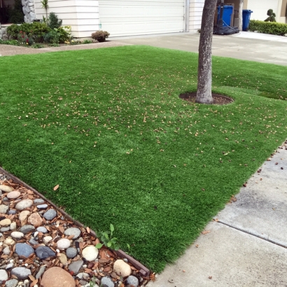 Grass Carpet Santa Rosa, California Landscaping, Front Yard Landscaping