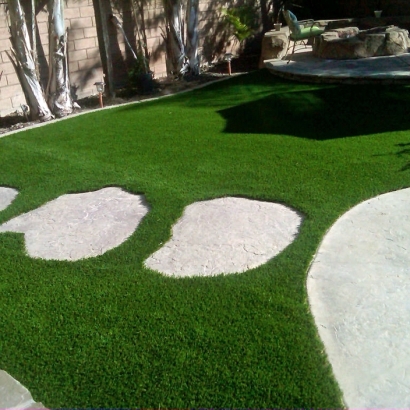 Grass Carpet Saratoga, California Design Ideas, Backyard Designs