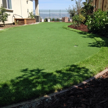 Green Lawn Eldridge, California Lawn And Garden, Backyard Garden Ideas