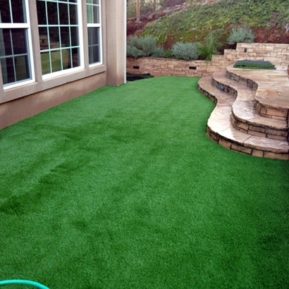 Green Lawn Wilton, California Landscaping Business, Backyard