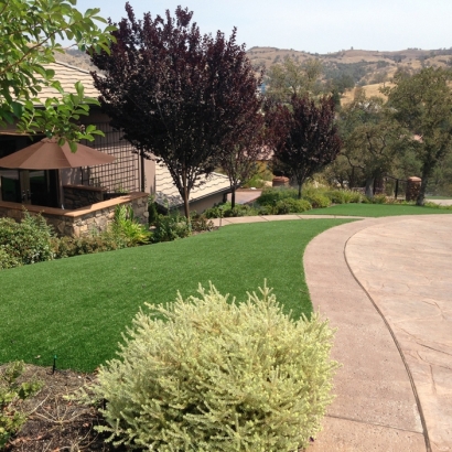 How To Install Artificial Grass Lathrop, California Rooftop, Small Front Yard Landscaping