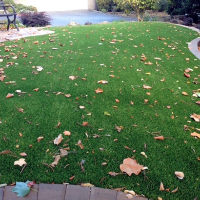 Lawn Services San Carlos, California Rooftop, Front Yard Ideas