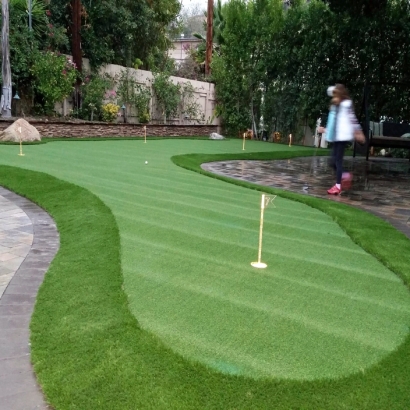 Outdoor Carpet Black Point-Green Point, California Landscape Ideas, Small Backyard Ideas