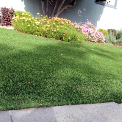 Outdoor Carpet Oakley, California Home And Garden, Front Yard Ideas