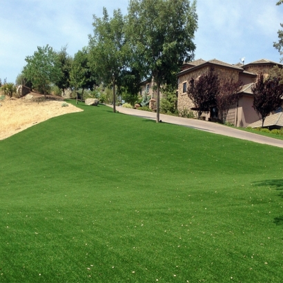 Outdoor Carpet Sebastopol, California Rooftop, Front Yard Landscape Ideas