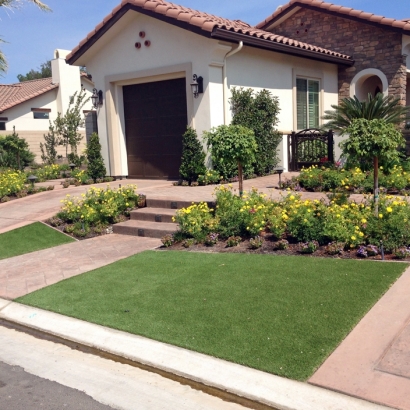 Plastic Grass Coalinga, California Design Ideas, Front Yard Landscape Ideas