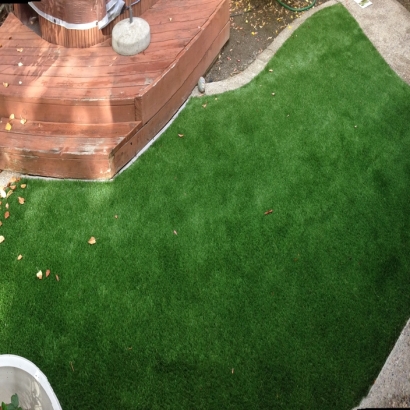 Plastic Grass Los Gatos, California Garden Ideas, Small Backyard Ideas