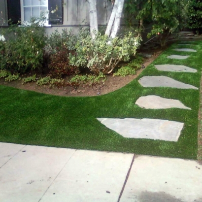 Plastic Grass San Bruno, California Landscape Design, Landscaping Ideas For Front Yard