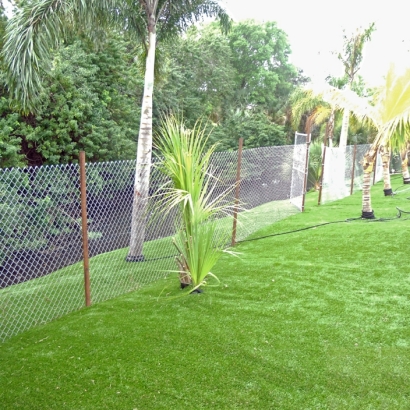 Synthetic Grass Cost Dogtown, California Gardeners, Beautiful Backyards