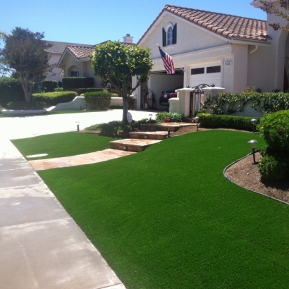 Synthetic Lawn August, California Garden Ideas, Front Yard