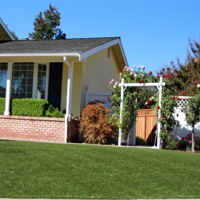 Synthetic Lawn Biggs, California Lawn And Garden, Front Yard Landscaping