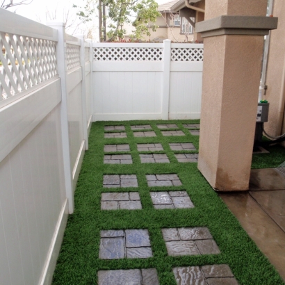 Synthetic Lawn Elk Grove, California Backyard Deck Ideas, Backyards