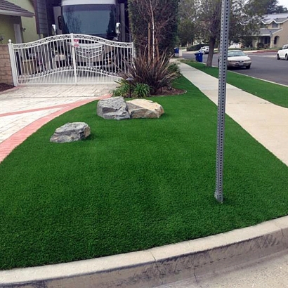 Synthetic Lawn Elverta, California Roof Top, Front Yard Design